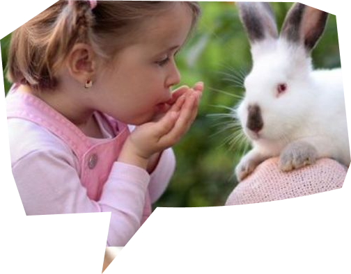 Крио шоу